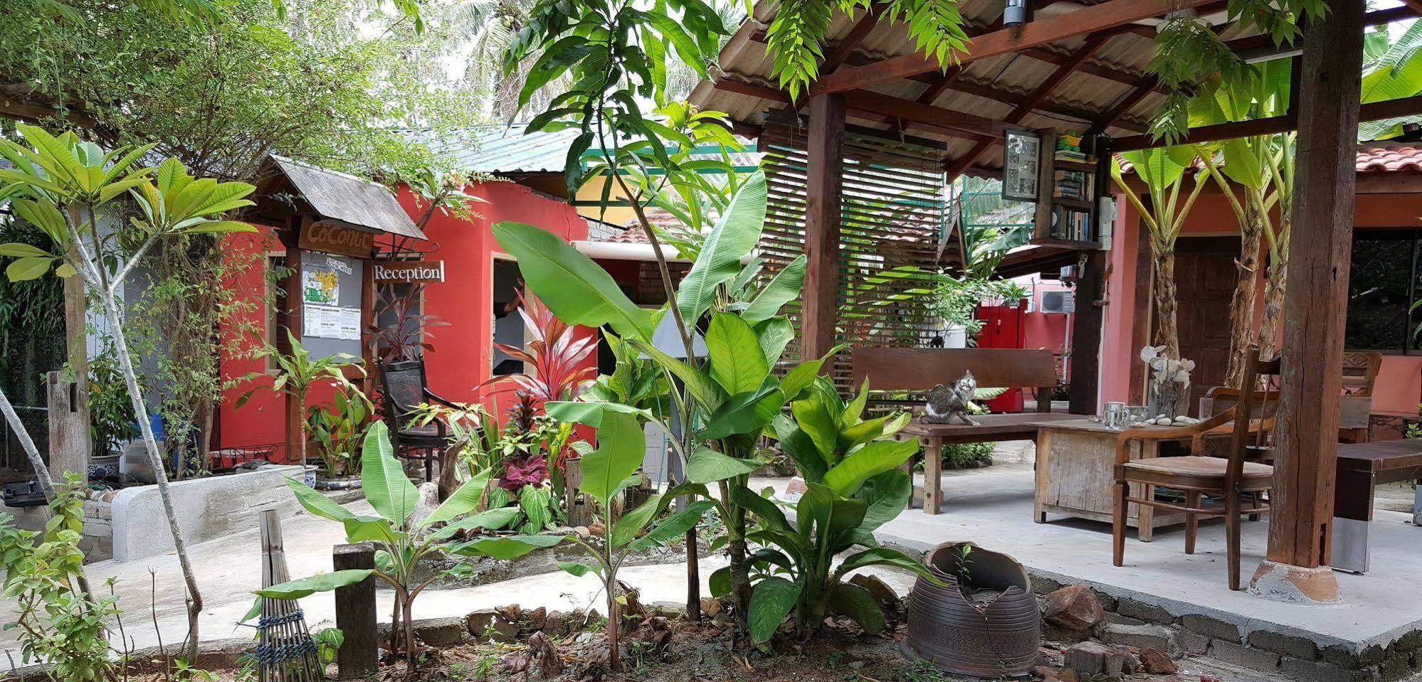 The Coconut Langkawi Hotel Pantai Cenang  Exterior photo