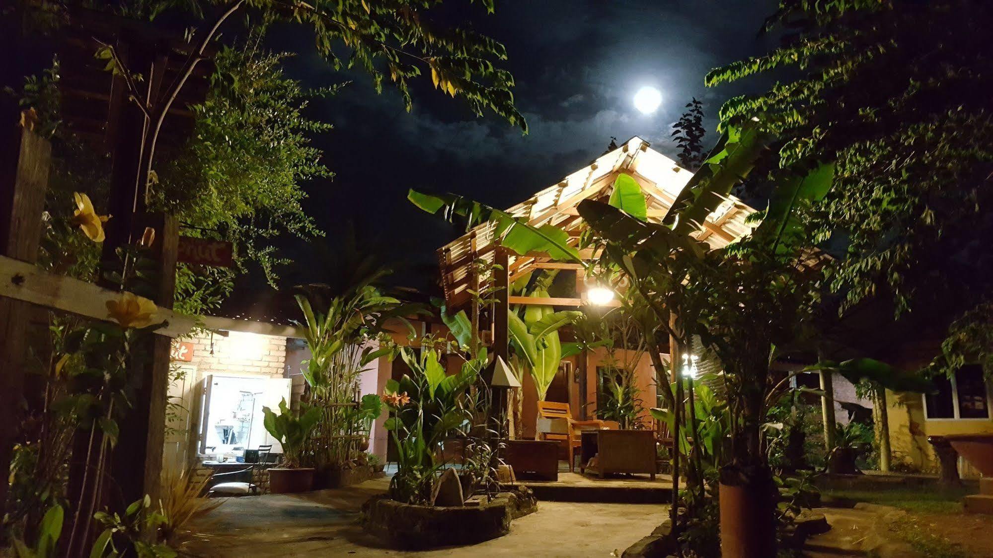 The Coconut Langkawi Hotel Pantai Cenang  Exterior photo